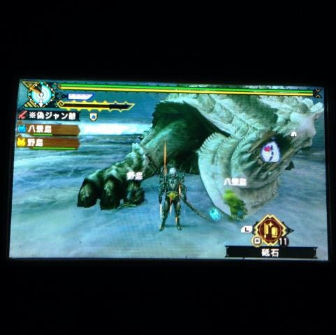 ウカムルバス討伐1