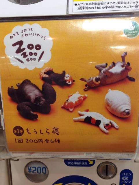 もうしら眠1