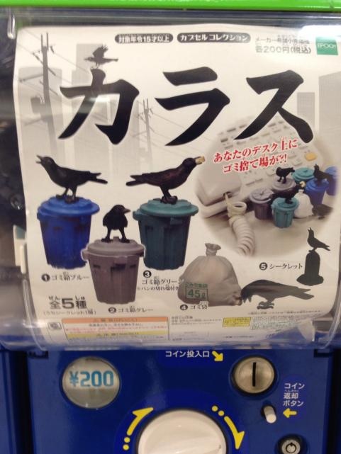 カラス1
