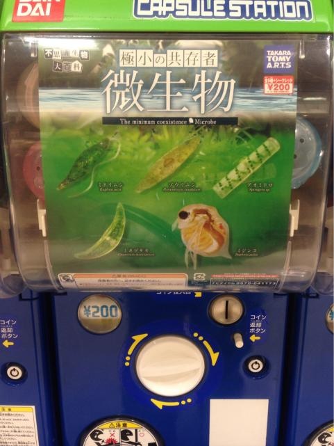極小の共存者微生物1