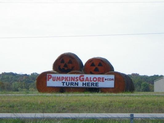 IMGP3020.jpg