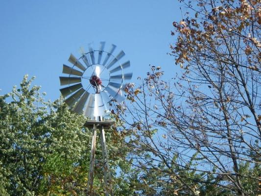 IMGP3114.jpg