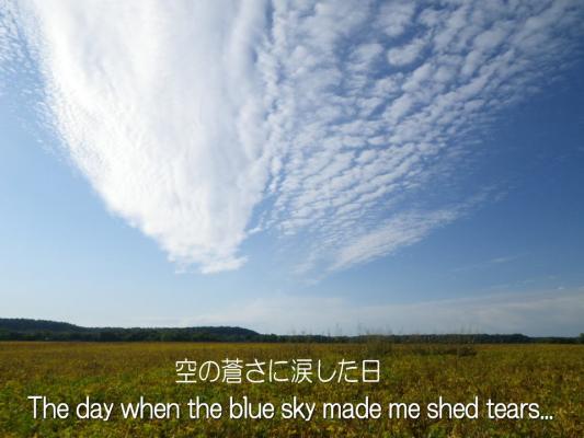 blue_sky_and_tears.jpg