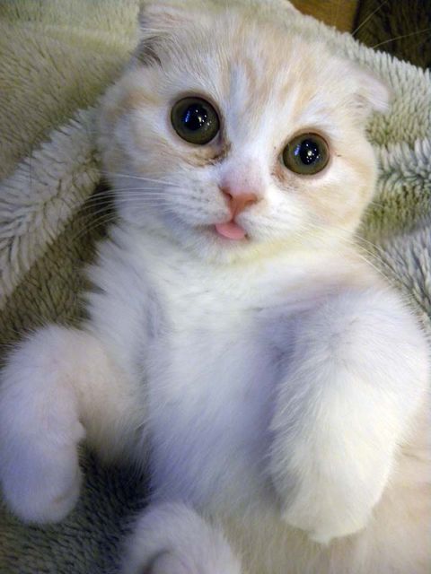 blog_import_4f672a728e3bd.jpg