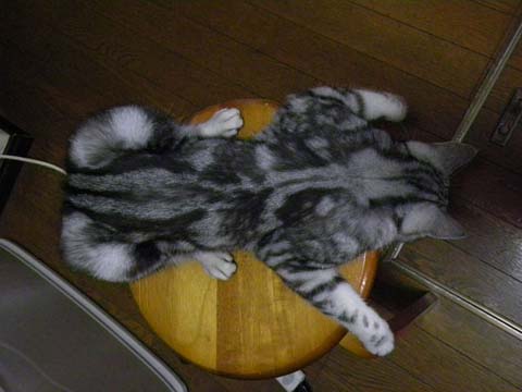 blog_import_4f672a89a4861.jpg