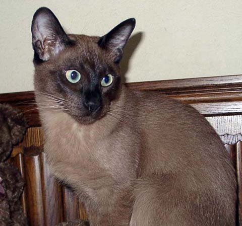 blog_import_4f672aa03ff1d.jpg