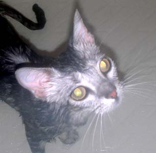 blog_import_4f672ad5dbb7d.jpg
