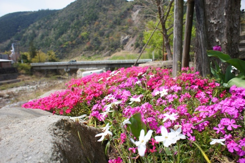 DSC0814520130414.jpg