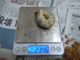 DSCN5273.jpg