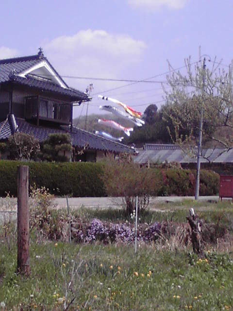 424kouinobori.jpg