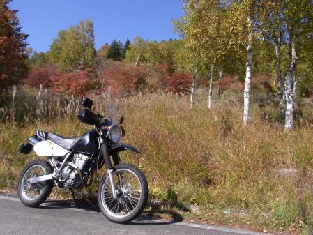 2011_1010004.jpg