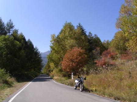 2011_1010005.jpg