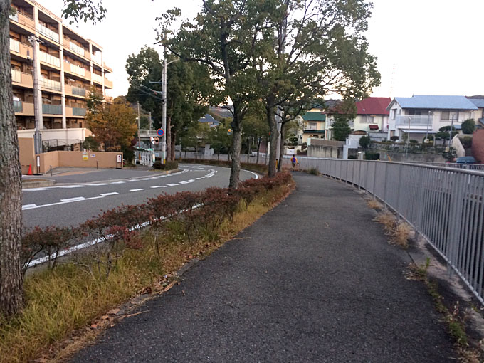 131127-7.jpg