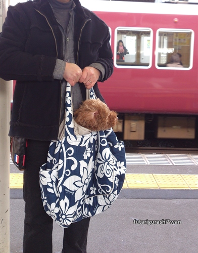 130303-01.jpg