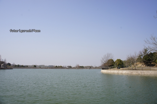 130309-07.jpg
