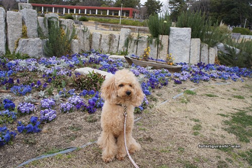 130314-17.jpg