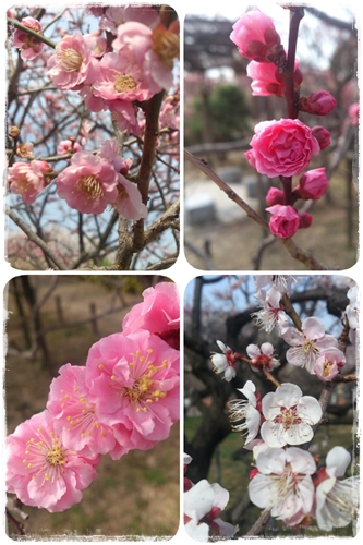 130316-12.jpg