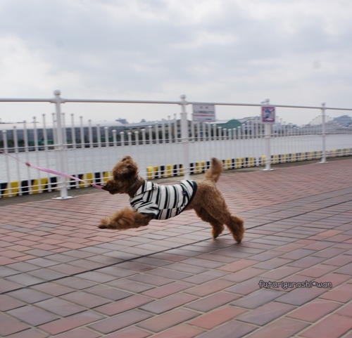130323-12.jpg