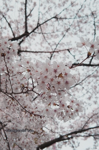 130330-07.jpg