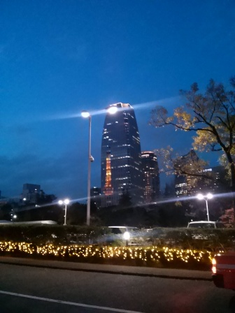 IMG04935.jpg