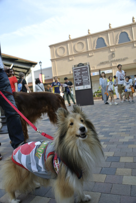 009_DSC9037.jpg
