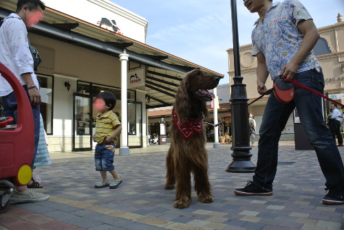 010_DSC9038.jpg
