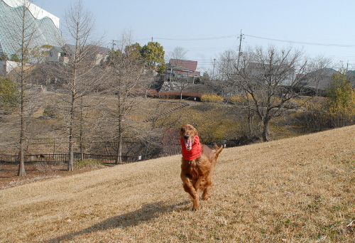 02DSC_0011.jpg