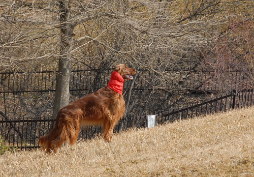 04DSC_0019.jpg
