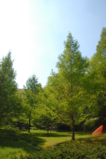 050503DSC_0028.jpg