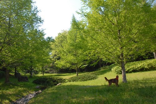 050504DSC_0036.jpg