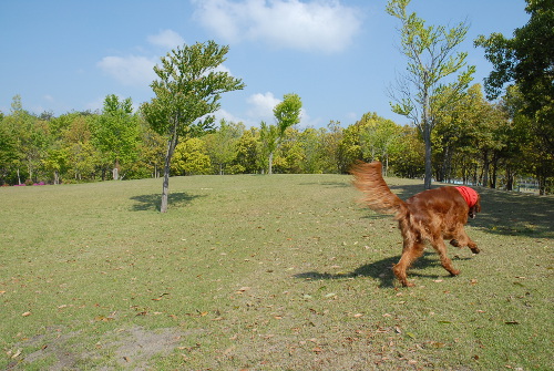 050505DSC_0010.jpg