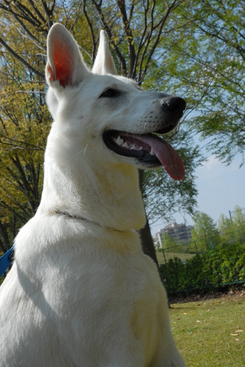 050507DSC_0020.jpg
