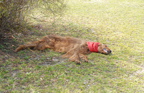 06DSC_0080.jpg