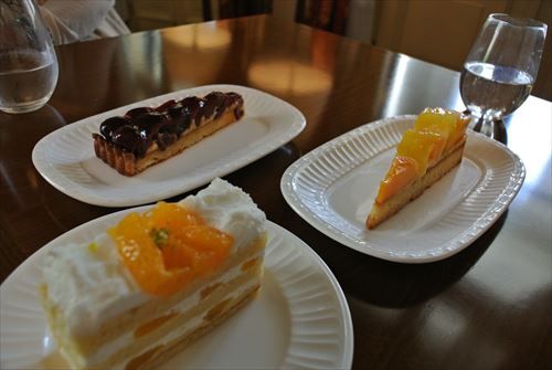 07DSC_0173_R.jpg