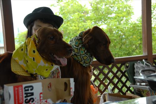 10DSC_0026_R.jpg