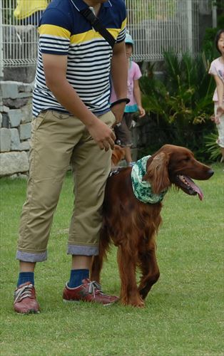 22DSC_0189_R.jpg