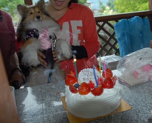 25DSC_0168_R.jpg