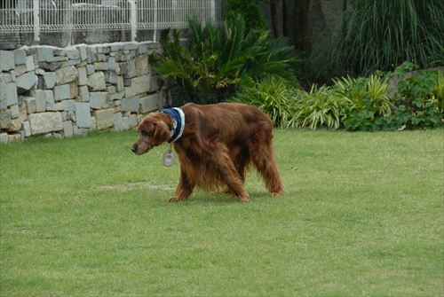 27DSC_0171_R.jpg