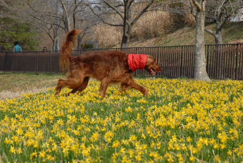 324DSC_0013.jpg