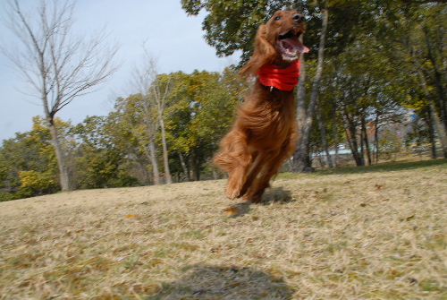 324DSC_0039.jpg