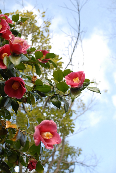 330DSC_0158.jpg