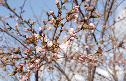 330DSC_0165.jpg