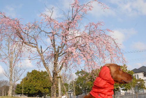 330DSC_0172.jpg