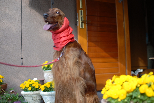 330DSC_0182.jpg