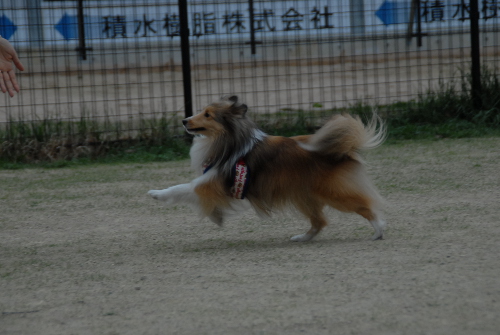 401DSC_0140.jpg