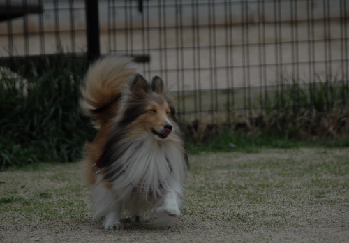 401DSC_0143.jpg