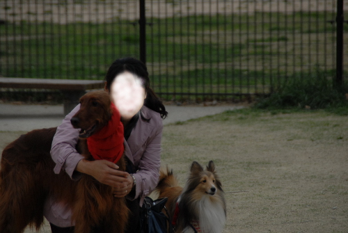 401DSC_0182.jpg