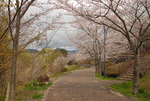407DSC_0001.jpg
