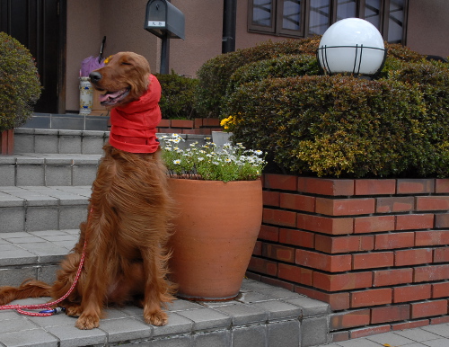 407DSC_0071.jpg