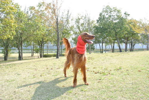 41401DSC_7914.jpg